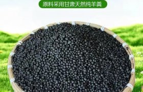 肥料种子