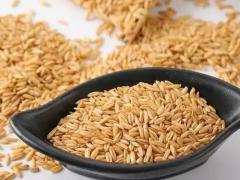 杂粮豆类区域代理招商