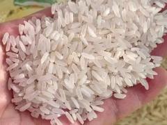 稻麦原粮与杂粮豆类产销峰会