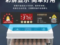 乡村振兴生态农业合作论坛