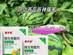 求购生物菌肥渠道供货