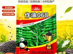 求购油蔬种子基地用种