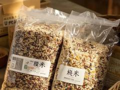 粮油制品精深加工与品牌共建