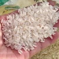 南方籼稻长粒原粮