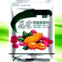 根瘤菌豆科专用剂