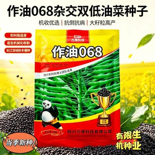油菜双低杂交种