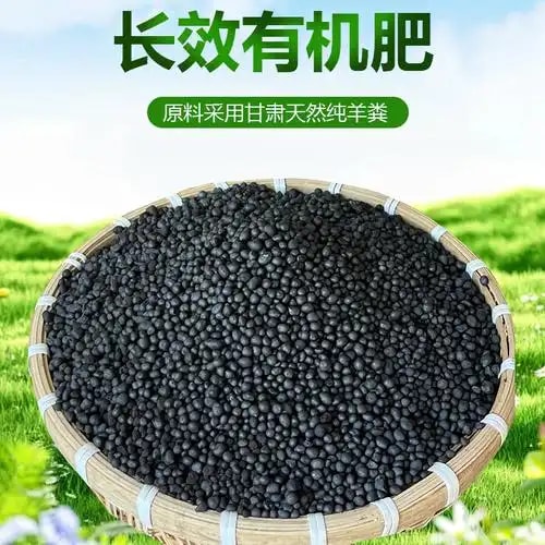 羊粪颗粒有机肥