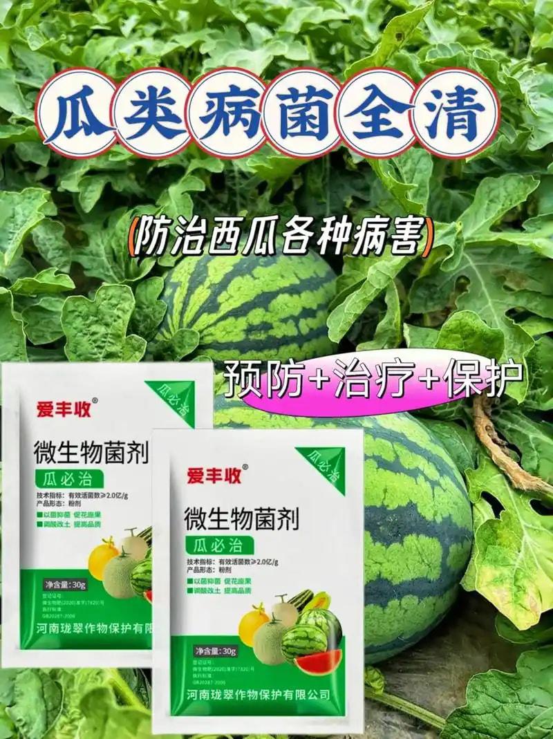 瓜果专用菌剂套餐