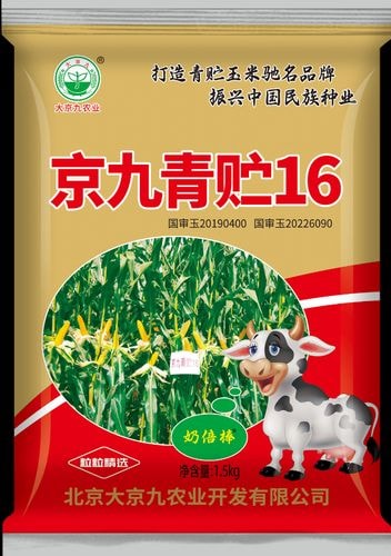 青贮玉米杂交种