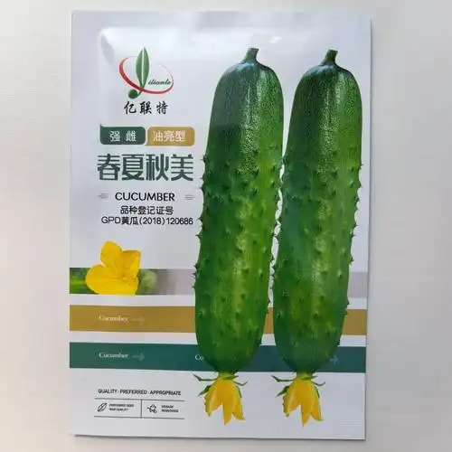 黄瓜耐低温种子