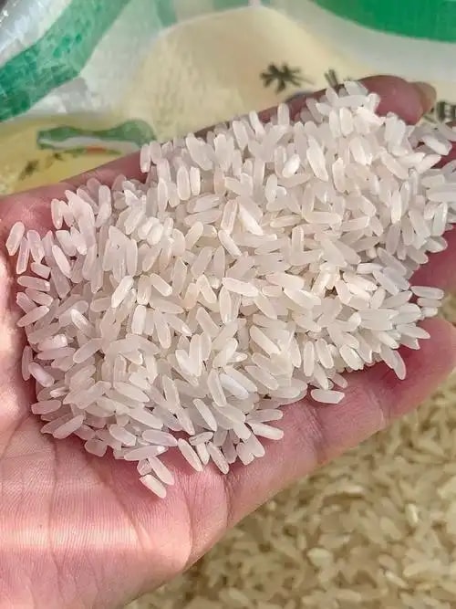 南方籼稻长粒原粮