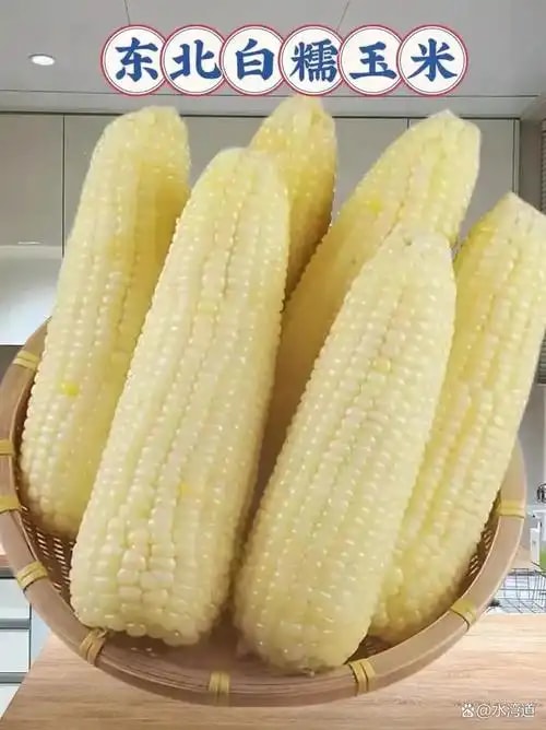 糯玉米籽粒原粮